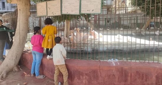 14 ألف زائر لحديقة حيوان الفيوم فى يومين