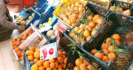 كيلو الطماطم بـ40 جنيها.. اعرف أسعار الخضراوات والفاكهة بالوادى الجديد