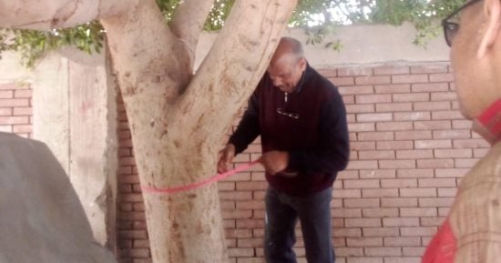 تكويد الأشجار وإدارة الأصول الخضراء.. آخر تطورات مبادرة 100 مليون شجرة.. صور