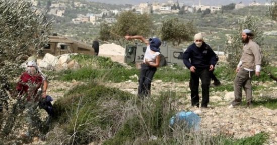 أوتشا: عنف المستوطنين تسبب فى نزوح نحو 5900 فلسطينى من الضفة خلال 3 سنوات