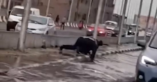 بطل بملابس ميرية وقلب "ابن بلد".. كيف أعاد رجل مرور الحياة للطريق بـ"إيديه"؟