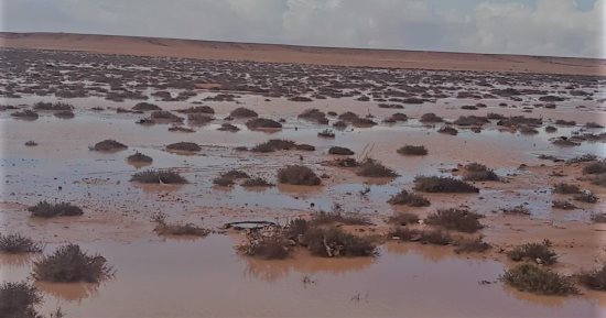 أمطار الخير على مطروح تروى الزراعات وتملأ الآبار.. فرق الطوارئ بشركة مياه الشرب والصرف الصحى ومجالس المدن تزيل تجمعات المياه.. استعدادات اجهزة المحافظة تحتوى آثار الأمطار وتقلبات الطقس