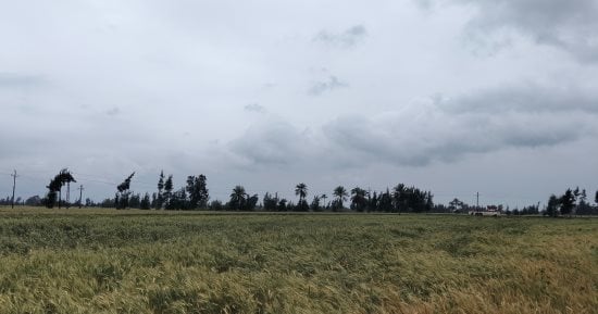 طقس غائم متقلب مع​ أمطار رعدية أحيانا ​وفرص تساقط ثلوج بمحافظة الشرقية