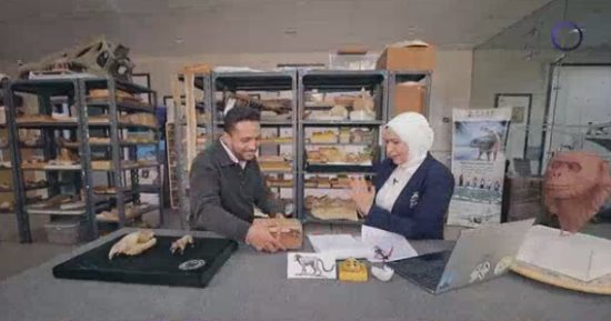 "كواليس نصر عظيم".. قصة اكتشاف حفرية نادرة بالصحراء الغربية فى "مصر تستطيع"