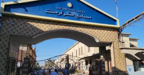 جهود مكثفة لزيادة الإنتاج خلال موسم توريد القصب 2026.. اعرف التفاصيل
