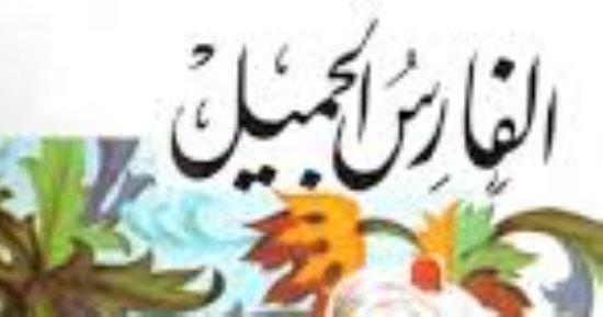 حسين السيد يكتب: الفارس الجميل (1)