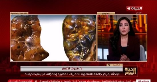 باحثة بجامعة المنصورة توضح تفاصيل اكتشاف نوع جديد من أسلاف القردة