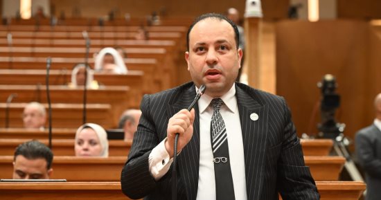 النائب وليد خطاب: جهود مصر الدبلوماسية تثبت دورها كلاعب رئيسى فى استقرار الإقليم