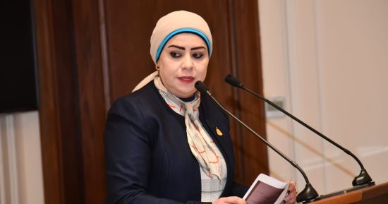 جيهان شاهين عن جهود الداخلية في مواجهة الإرهاب: ضربات استباقية تحمي الاستقرار