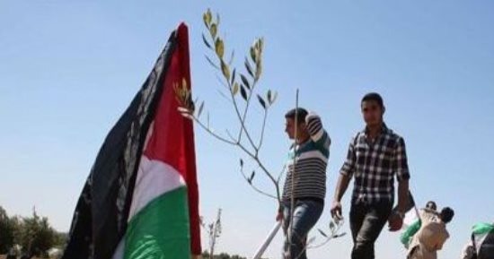 50 عاما على يوم الأرض الفلسطينى.. ذاكرة الصمود المتجددة فى وجه النكبة.. تأكيد للهوية وحق أصحاب الأرض.. الأرقام تكشف عمق المأساة والمعاناة الفلسطينية.. القدس والعودة جوهر القضية الفلسطينية وحقوق اللاجئين