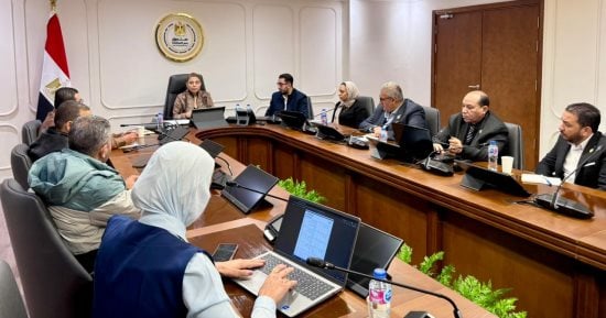الصناعات الريفية والبيئية: دعم الأسر الأولى بالرعاية ومشروعات التمكين الاقتصادى 