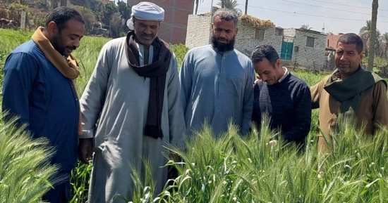  اعتماد 278 ألفا و236 استمارة لمزارعى بنى سويف ضمن منظومة كارت الفلاح