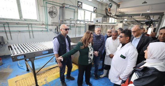 منال عوض: إقالة مدير مديرية الطب البيطرى بالإسكندرية لوجود مخالفات جسيمة