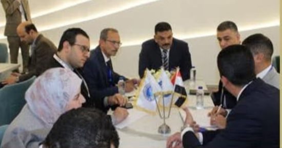 الثروة المعدنية تبحث وضع خارطة طريق لاستكشاف الليثيوم والمعادن الحرجة