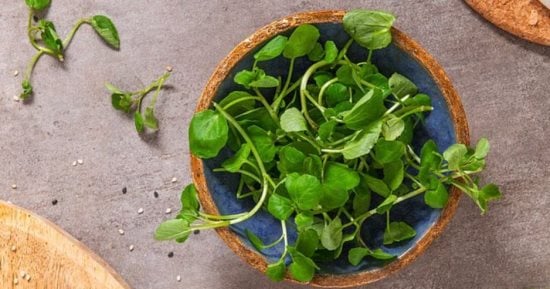 خبراء اعتبروه أعلى الخضراوات قيمة غذائية.. ما فوائد الجرجير