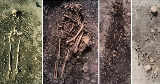 مدفن عمره 5500 عام فى السويد يحل لغز البنية الاجتماعية للعصر الحجرى