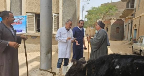 قافلة بيطرية بقرية الشيخ يوسف بسوهاج لعلاج الحيوانات بالمجان