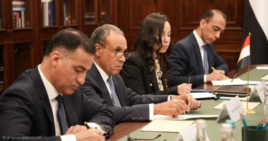 وزير الخارجية يلتقى سكرتير مجلس الأمن القومى الروسى