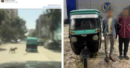 سحل كلب فى شوارع العاصمة.. الأمن يضبط السائق والحارس المتورطين فى الواقعة