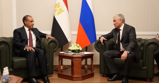 وزير الخارجية يبحث مع رئيس مجلس الدوما الروسى تعزيز التعاون فى مجالى الطاقة والأمن الغذائى