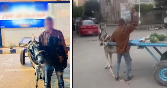 فيديو رجم الدابة.. الأمن يضبط بائع كفر الدوار بعد مشهد مثير للغضب