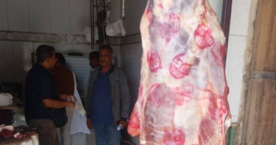 الطب البيطرى بأسوان يكثف الرقابة استعدادا لشم النسيم