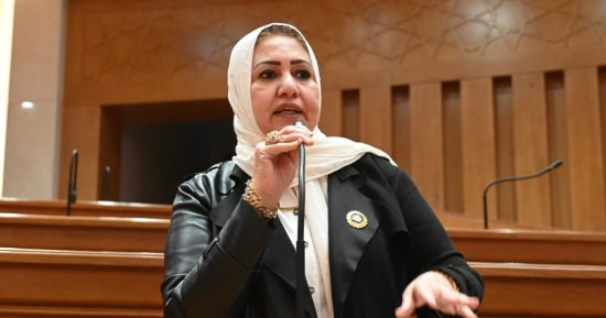 النائبة سحر صدقى: يجب رفع وعي المواطنين بخطورة الشائعات والمعلومات المضللة