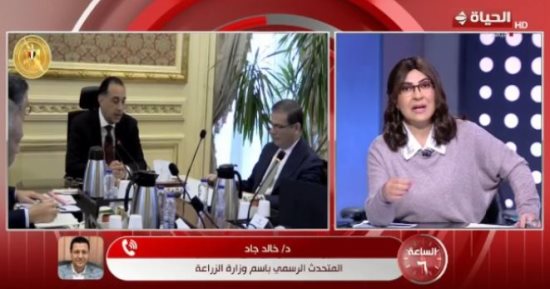 متحدث الزراعة لـ الساعة 6: احتياطي القمح آمن والطماطم ستعود لسعرها الطبيعى