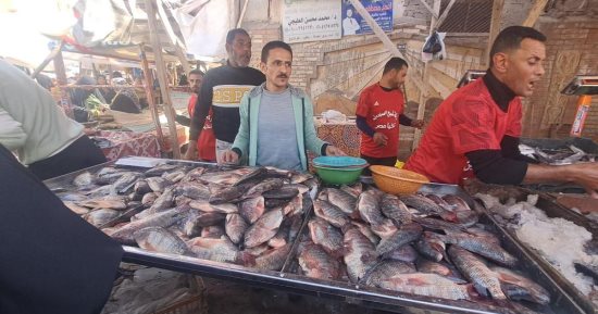 كفر الشيخ: مبادرة ضد الغلاء توفر الأسماك البلطي بـ60 جنيها والبوري بـ150