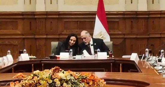 حقوق الإنسان بالشيوخ تستعرض مبادرات دعم الأشقاء العرب بقوافل إنسانية