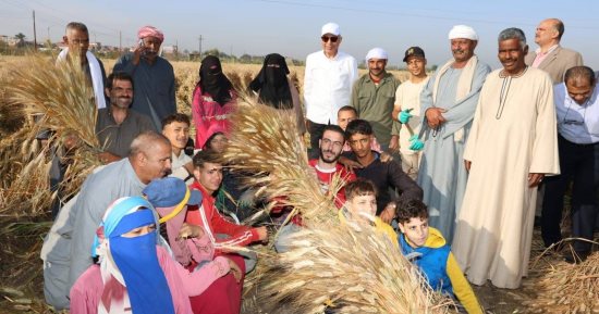 محافظ المنيا: تجهيز 42 موقعا لاستقبال القمح بسعة 465 ألف طن استعدادا للموسم