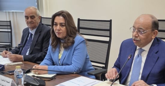 وزيرة التنمية المحلية: لجان مشتركة مع النواب لنظر قانون الإدارة المحلية