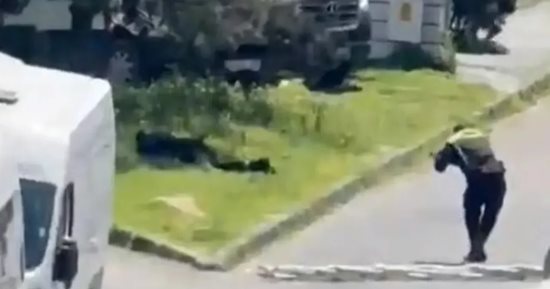 اللحظات الأولى لحادث إطلاق نار بالقرب من القنصلية الإسرائيلية في إسطنبول.. فيديو 