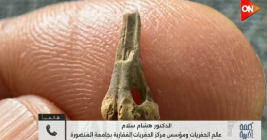هشام سلام لـ كلمة أخيرة: اكتشفنا عظمة لطائر عمرها ملايين السنين وانتظروا المفاجأة
