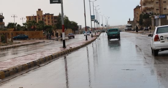 صورة الخبر