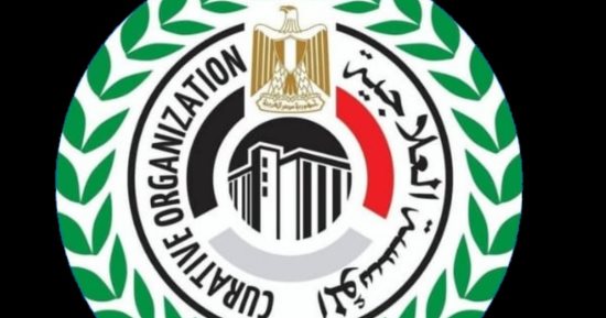 المؤسسة العلاجية تستقدم فريقا أجنبيا لإجراء جراحات الأجنة داخل الرحم بمبرة المعادى
