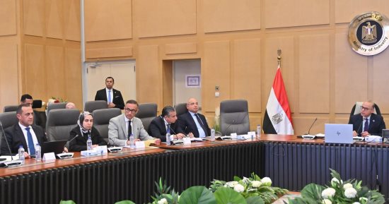 وزير الاستثمار يترأس اجتماع مجموعة العمل المعنية بالعلاقات المصرية الكورية 