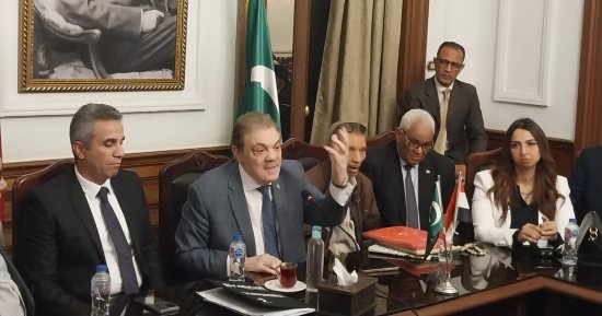 البدوى: الرئيس السيسى حريص على تحسين أوضاع أصحاب المعاشات