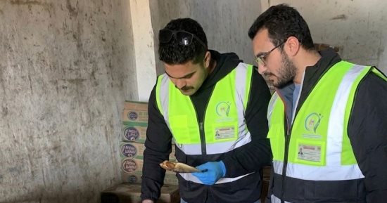 ضبط طن رنجة غير صالحة للاستهلاك الآدمى بكفر الزيات