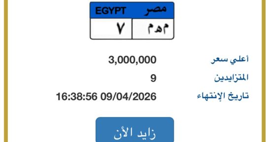 9 أشخاص يزايدون على لوحة «م هـ م - 7» المميزة بسعر يصل لـ 3 ملايين جنيه