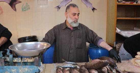 كفر الشيخ قلعة الفسيخ بمصر.. مهنة يتوارثها الأبناء عن الآباء.. المحافظة تنتج وحدها 1.5 مليون طن أسماك مملحة سنويا.. تزايد الإقبال فى شم النسيم وأعياد الربيع.. والعروس تتناوله قبل الزفاف كعادة قديمة.. فيديو