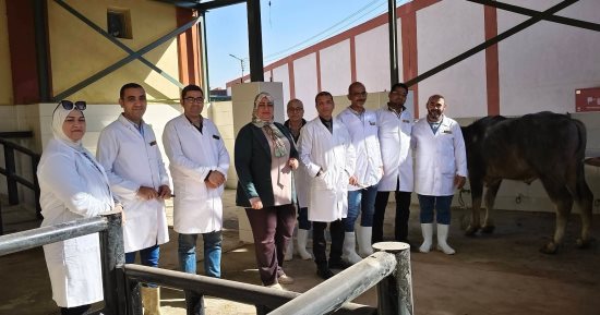 عيد سوهاج القومى.. بدء التشغيل التجريبي لأول مجزر نصف آلى بسوهاج