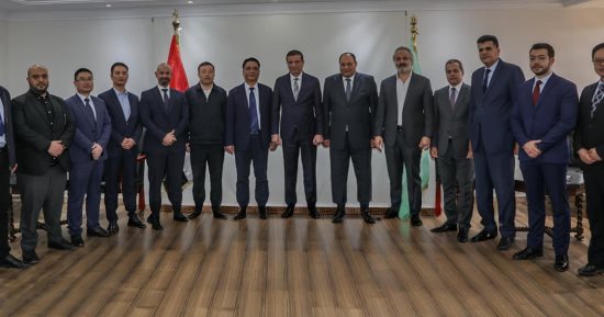 وزير الزراعة يبحث مع وفد من المستثمرين الصينيين التعاون فى التصنيع الزراعي