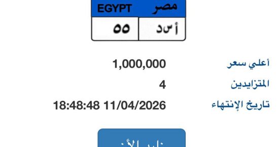 طرح لوحة «أ سـ د - 55» المميزة فى مزاد لوحات السيارات بسعر يصل لـ مليون جنيه