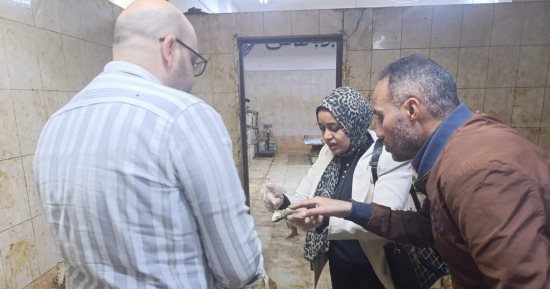 ضبط 700 كيلو فسيخ وأسماك مملحة غير صالحة للاستهلاك قبل شم النسيم بأسيوط