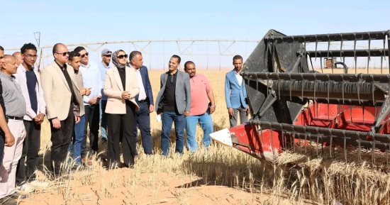 محافظ الوادي الجديد تشهد حصاد محصول القمح بأحد مشروعات الاستثمار الزراعي