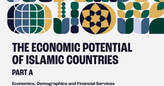 معلومات الوزراء يشارك فى كتاب دولى حول الإمكانات الاقتصادية لدول منظمة التعاون الإسلامى