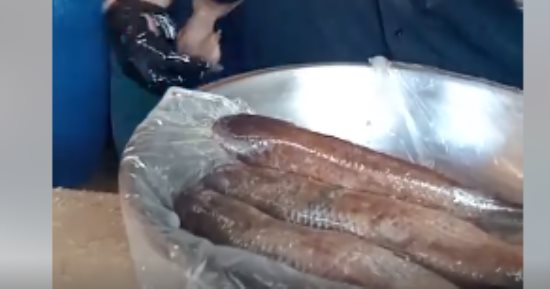إقبال على شراء الفسيخ قبل ساعات من الاحتفالات بشم النسيم بكفر الشيخ.. فيديو