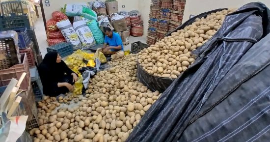 كيلو البطاطس بـ7.5 جنيه.. اعرف أسعار الخضراوات والفاكهة فى منافذ الوادى الجديد
