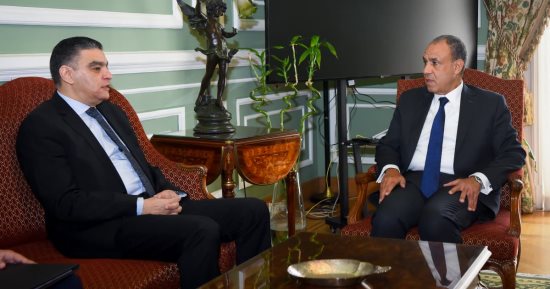 وزير الخارجية يبحث مع رئيس هيئة الشراء الموحد دعم نفاذ الدواء المصري لأفريقيا